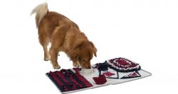 Dog Activity SNIFFING CARPET čichací koberec 70 x 47 cm TRIXIE