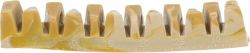 Denta Fun Veggie Jaw Bone, kost "čelist", 12 cm, 35g TRIXIE