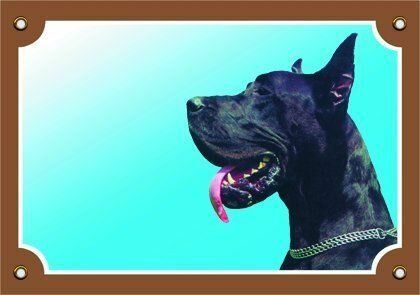 Barevná cedulka Pozor pes, Doga černá Dafiko