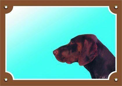 Barevná cedulka Pozor pes, Německý ohař hnědý Dafiko