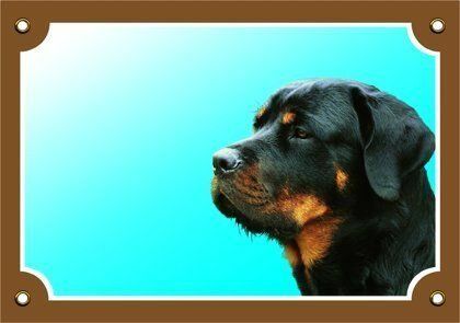 Barevná cedulka Pozor pes, Rottweiler Dafiko