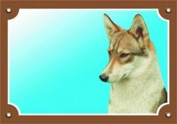 Barevná cedulka Pozor pes, Západosibiřská lajka