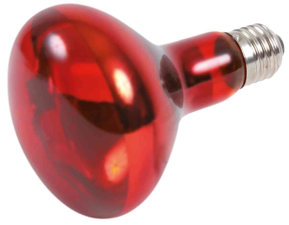 Infrared Heat Spot-Lamp red 100W TRIXIE