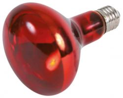 Infrared Heat Spot-Lamp red 150W