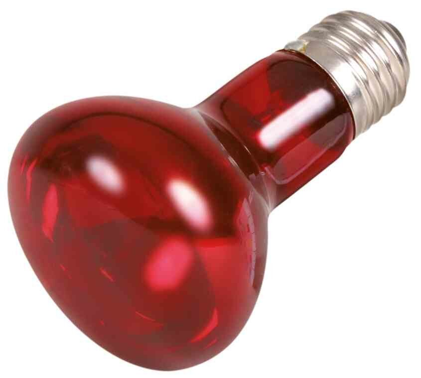 Infrared Heat Spot-Lamp red 75W TRIXIE