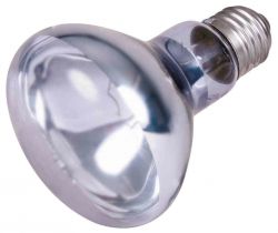 Neodymium Basking-Spot-Lamp 100W