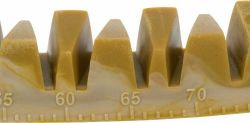 Denta Fun Veggie Jaw Bone kost "čelist", 22 cm, 85g TRIXIE