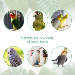 Hračka pro malé papoušky - dřevo a bavlněné lano 26x8,5cm Nobleza