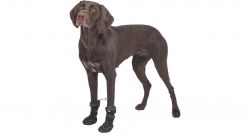 Walker Active Long L, ochranné boty pro psy, 2ks, černá