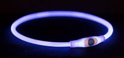Flash light ring USB, blikací obojek, L-XL: 65 cm/ ø 8 mm, modrá TRIXIE