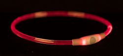 Flash light ring USB, blikací obojek, S-M: 40 cm/ ø 8 mm, červená TRIXIE
