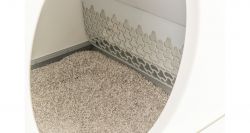 Samočistící SMART toaleta pro kočky, 53 x 55,5 x 52 cm, bílá TRIXIE