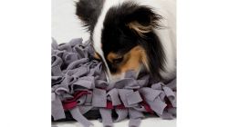 Dog Activity - SNIFFING CARPET čichací koberec 50 x 34cm TRIXIE