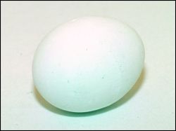 Vajíčko - podkladek