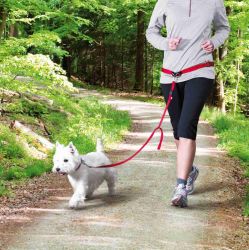 Pás na běh s nylonovým vodítkem pro malé a střední psy