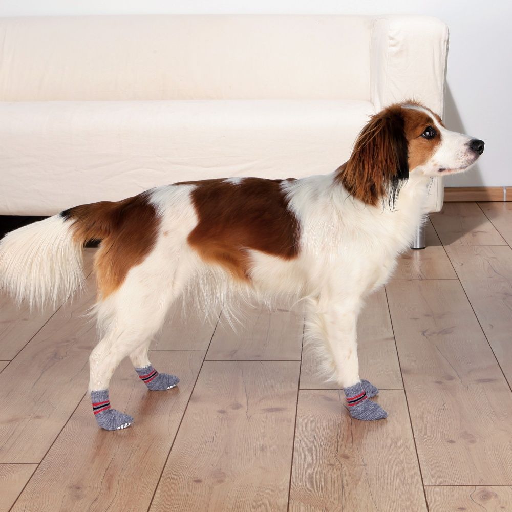 Protiskluzové šedé ponožky, 2 ks pro psy L (něm.ovčák) TRIXIE