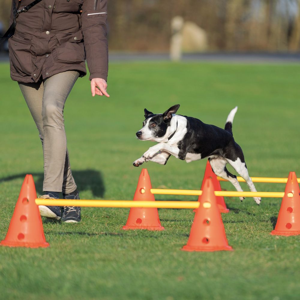 Dog Activity překážky (2 ks) 30x50 cm/100 cm oranž/žlutá TRIXIE