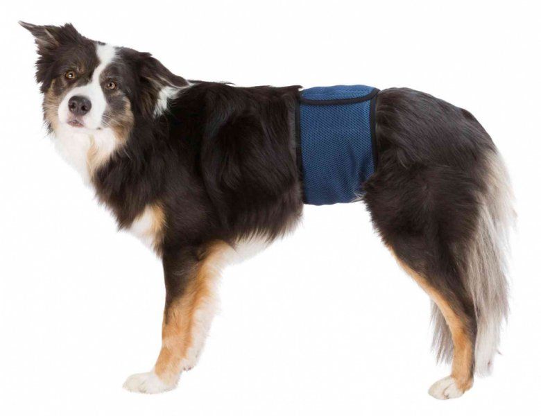 Břišní pás na podložky pro psa samce L 55-65 cm tmavě modrý TRIXIE