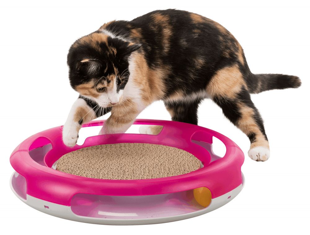 Hračka pro kočku kruh s kuličkou a škrabacím kartonem 37 cm TRIXIE