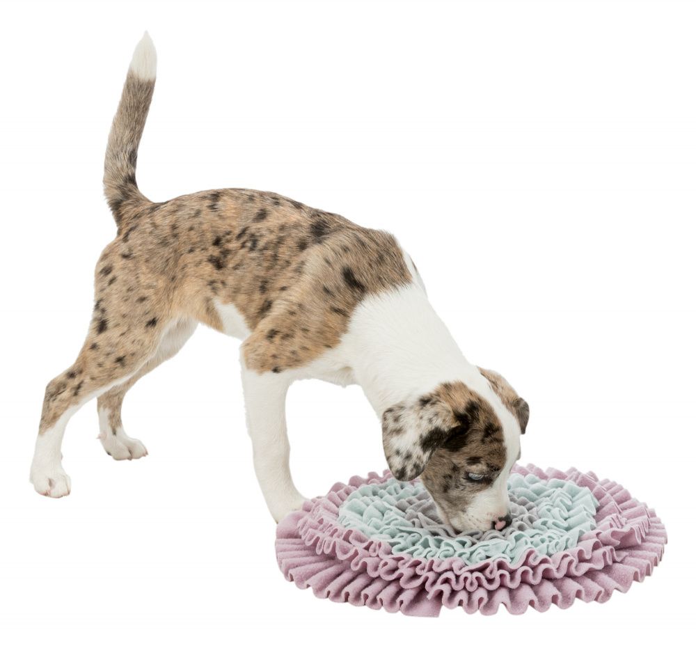JUNIOR Dog Activity čmuchací koberec 38 cm TRIXIE