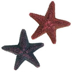 Barevné dekorativní hvězdice 9cm
